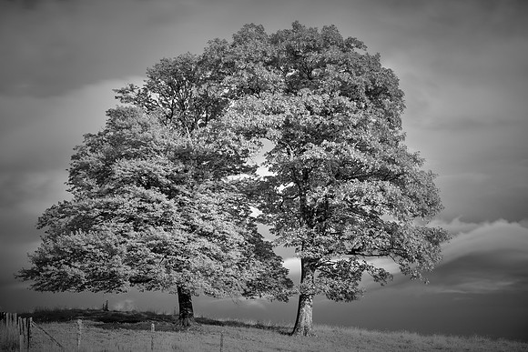 Blue Ridge Parkway in Infrared
