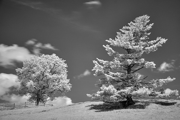 Blue Ridge Parkway in Infrared