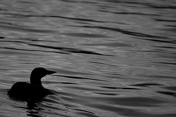 Lake Vermilion, MN
