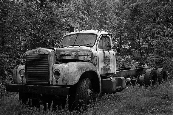 On the backroads near Rocky Bottom, South Carolina.