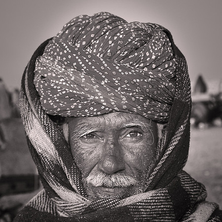 Nagaur Camel Fair, Rajasthan, India
