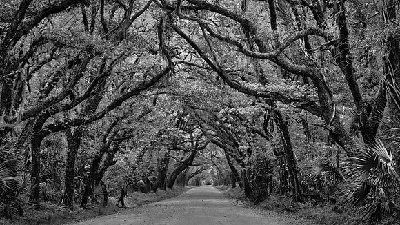 Botany Bay, Edisto Island, SC