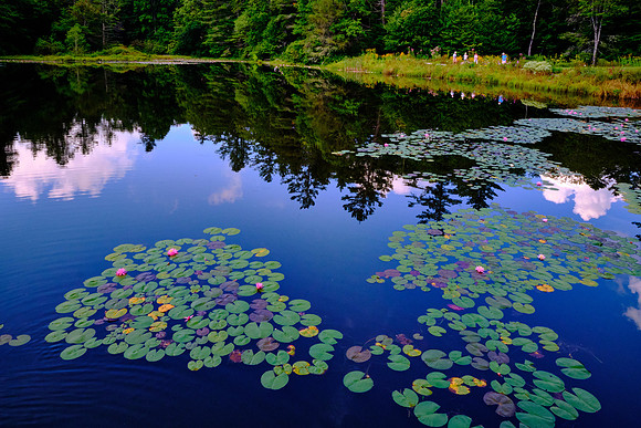 Ravenel Lake, Highlands Biological Station, Highlands, NC