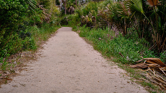 Botany Bay, Edisto Island, SC