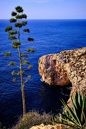 The Blue Grotto sea caves opposite the uninhabited islet of Filfla.
