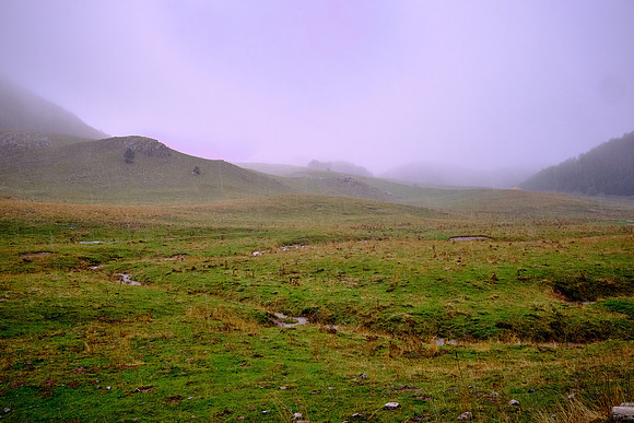 The Sila National Park is a UNESCO World Heritage Site even in the rain.