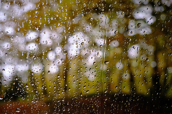 The rain dampened our experience in the park; that’s what rain does.