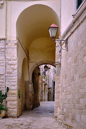 The old town center is a medieval network arranged around the  port.