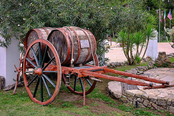 Puglia produces red wines from Negroamaro, Primitivo, and Bombino Nero grapes.