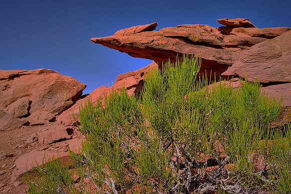 Capitol Reef National Park, UT.  Around Panorama Point, Sunset Point, and the Goosenecks.