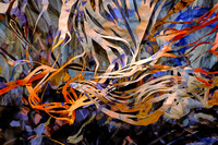 Abstract Portfolio