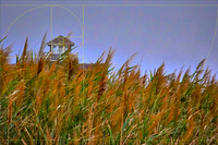 Architecture Portfolio