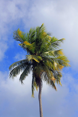 St. Croix