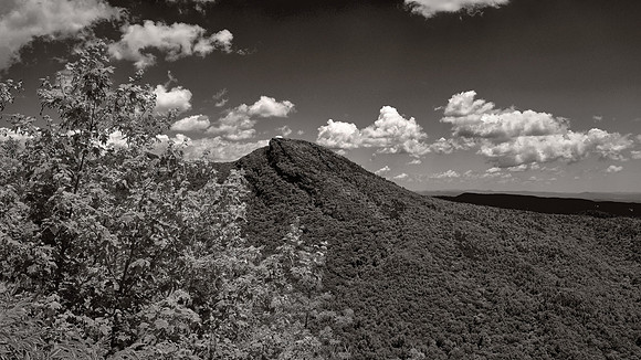 Hawksbill Mountain from Wiseman's View Overlook, Linville Gorge, NC