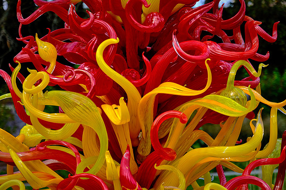 Dale Chihuly at the Biltmore Estate in the day, Asheville, NC