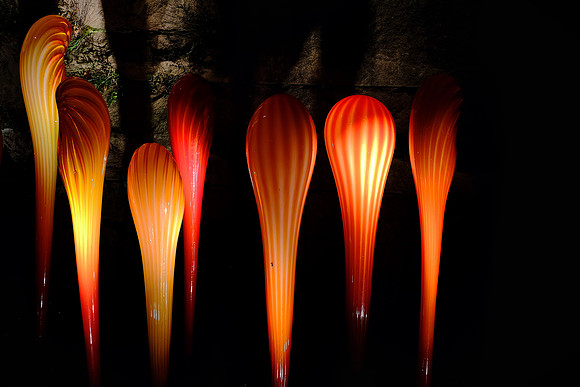 Dale Chihuly at the Biltmore Estate in the night, Asheville, NC