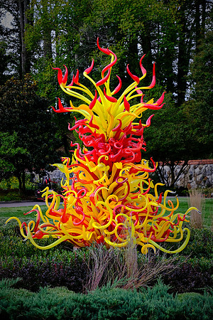 Dale Chihuly at the Biltmore Estate in the day, Asheville, NC