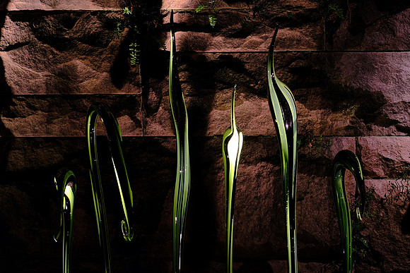 Dale Chihuly at the Biltmore Estate in the night, Asheville, NC