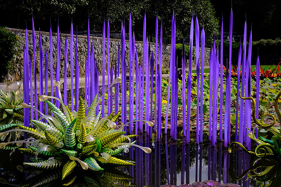 Dale Chihuly at the Biltmore Estate in the day, Asheville, NC