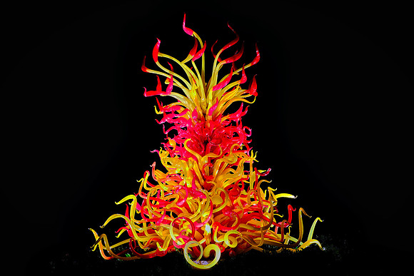Dale Chihuly at the Biltmore Estate in the night, Asheville, NC