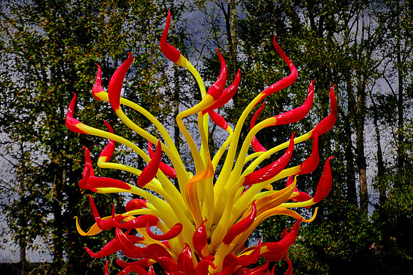 Dale Chihuly at the Biltmore Estate in the day, Asheville, NC