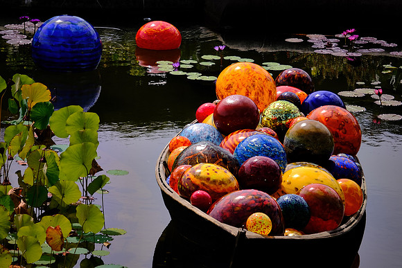 Dale Chihuly at the Biltmore Estate in the day, Asheville, NC