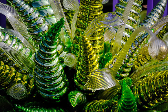 Dale Chihuly at the Biltmore Estate in the day, Asheville, NC