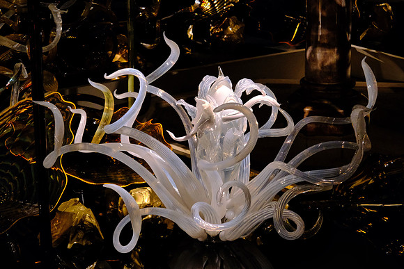 Dale Chihuly at the Biltmore Estate in the night, Asheville, NC