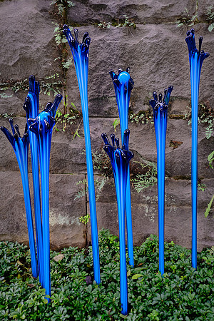 Dale Chihuly at the Biltmore Estate in the day, Asheville, NC
