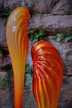 Dale Chihuly at the Biltmore Estate in the day, Asheville, NC