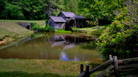 2020 June - Blue Ridge Parkway, NC