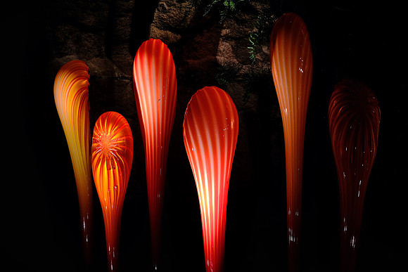 Dale Chihuly at the Biltmore Estate in the night, Asheville, NC