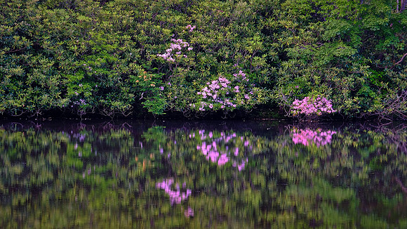 Sunrise, Price Lake, Blue Ridge Parkway, NC
