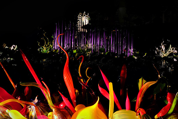 Dale Chihuly at the Biltmore Estate in the night, Asheville, NC