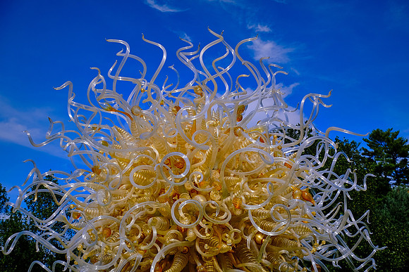Dale Chihuly at the Biltmore Estate in the day, Asheville, NC