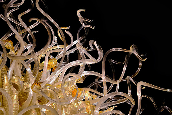 Dale Chihuly at the Biltmore Estate in the night, Asheville, NC