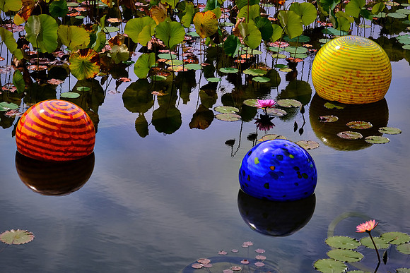 Dale Chihuly at the Biltmore Estate in the day, Asheville, NC