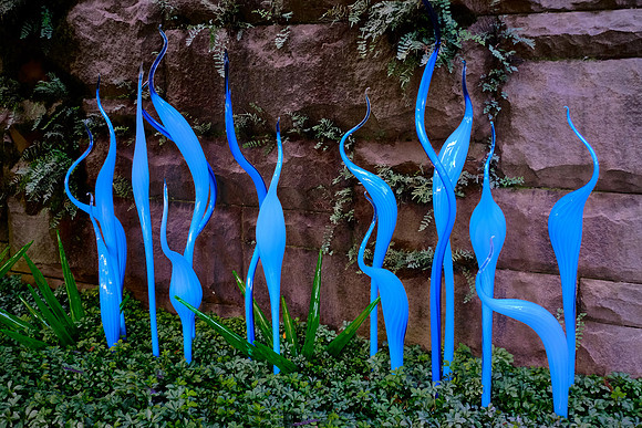 Dale Chihuly at the Biltmore Estate in the day, Asheville, NC