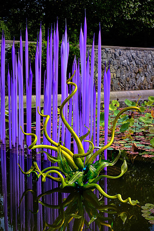 Dale Chihuly at the Biltmore Estate in the day, Asheville, NC