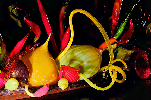 Dale Chihuly at the Biltmore Estate in the night, Asheville, NC