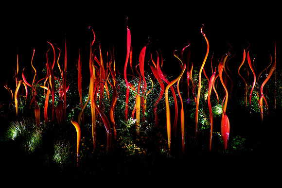 Dale Chihuly at the Biltmore Estate in the night, Asheville, NC