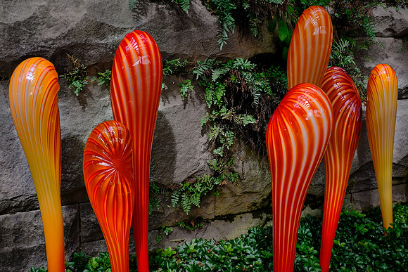 Dale Chihuly at the Biltmore Estate in the day, Asheville, NC