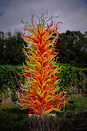 Dale Chihuly at the Biltmore Estate in the day, Asheville, NC