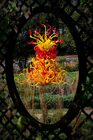Dale Chihuly at the Biltmore Estate in the day, Asheville, NC
