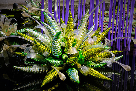 Dale Chihuly at the Biltmore Estate in the day, Asheville, NC