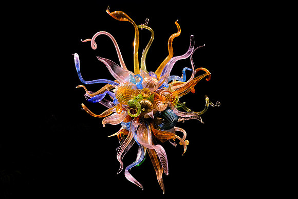 Dale Chihuly at the Biltmore Estate in the night, Asheville, NC