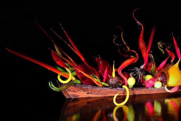 Dale Chihuly at the Biltmore Estate in the night, Asheville, NC
