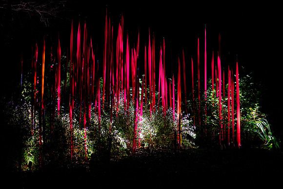 Dale Chihuly at the Biltmore Estate in the night, Asheville, NC