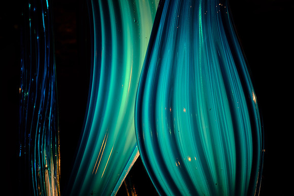 Dale Chihuly at the Biltmore Estate in the night, Asheville, NC