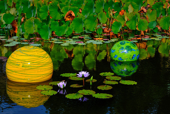 Dale Chihuly at the Biltmore Estate in the day, Asheville, NC